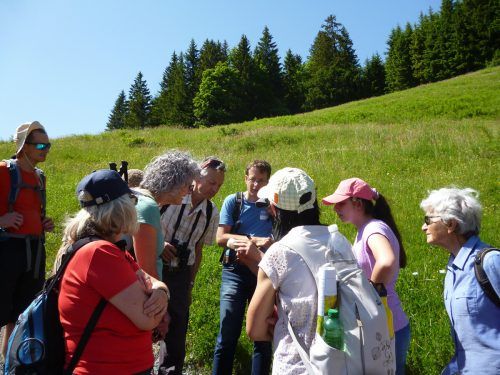Die Vielfalt an Arten faszinierte die Teilnehmenden der Biotopexkursion. Naturschutzbund/Burtscher