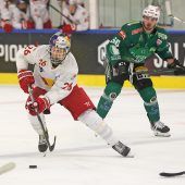 Happige Aufgaben für die Wälder und den EHC Lustenau