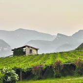 Wein-Trekking im Trentino