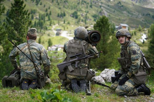 Bis zu 1250 Soldaten der Brigade Schnelle Kräfte werden im Walgau ihre Einsatzfähigkeit testen.  ÖBH/Winkler