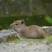 Kurze Ruhepause