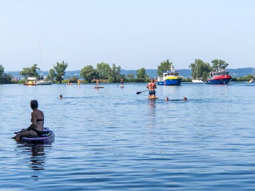 Harder Binnenbecken: An dieser Stelle ertrank am 19. Juni in Hard ein 33-Jähriger nach Sturz vom Stand-up-Board. VN/Steurer