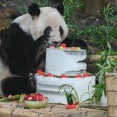 Torte zum Geburtstag