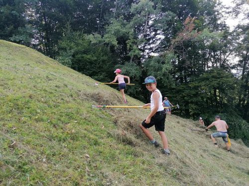 Die Aktion Heugabel erfreut sich seit vielen Jahren großer Beliebtheit bei den freiwilligen Helfern. Walgau Wiesen Wunder Welt