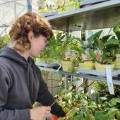 Lernen in naturnaher Branche