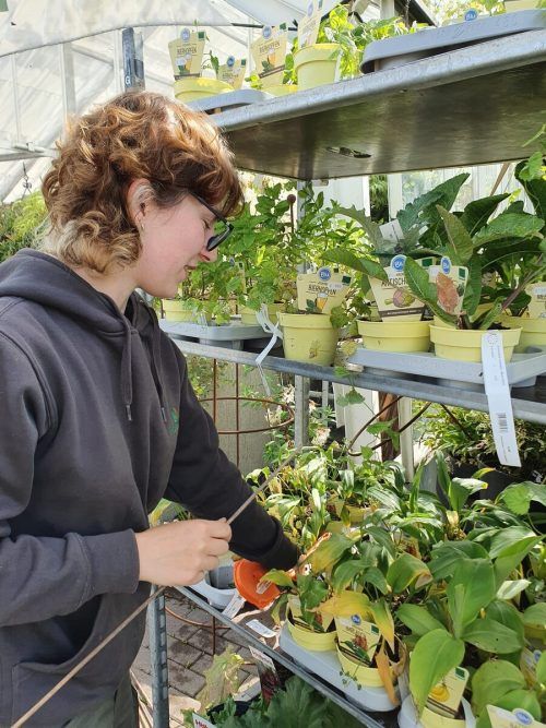 Gassner: „Wenn sich junge Personen für den Beruf Gärtner oder Garten- und Landschaftsbauer entscheiden, weiß man, dass sie gerne in der Natur arbeiten.“ FA