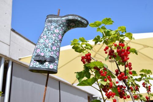 Im Garten der Caritas-Werkstätte sind Bürgerinnen und Bürger herzlich eingeladen, mitzuarbeiten.