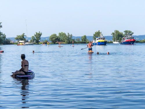 Im Harder Binnenbecken kam es zu einem tödlichen Zwischenfall. vn/steurer
