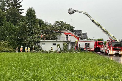 In Lustenau krachte ein entwurzelter Baum auf ein Wohnhaus.  m. shourot