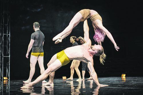 Jetzt mitmachen und zwei Karten gewinnen für die Akrobatikshow „Humans“ der australischen Compagnie C!RCA im Freudenhaus in Lustenau. PedroGreig.com