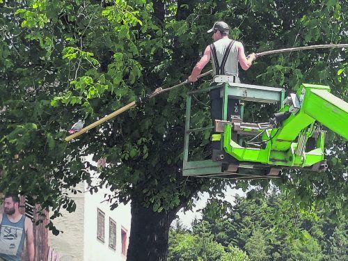 Mit dem Teleskoplader rückte die Feuerwehr zur Hilfe an.