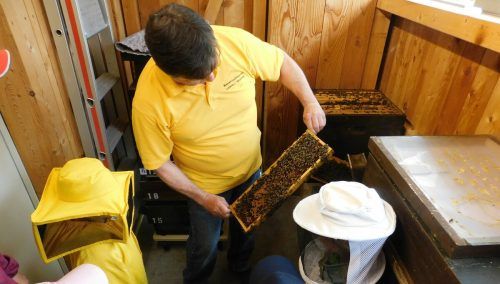 Mit Imkeranzug gekleidet konnten die Kinder das Treiben der fleißigen Bienen aus nächster Nähe beobachten. Gde