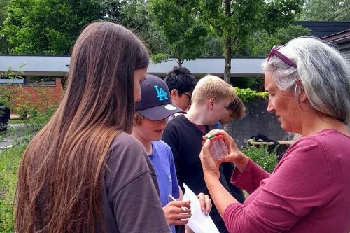 Schüler erfassen die Fauna und Flora der im Herbst angelegten Blühflächen.