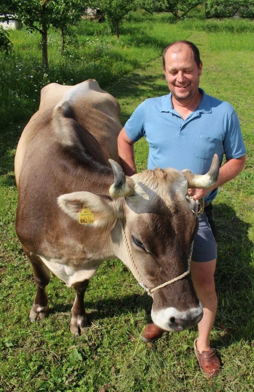 Sennerei-Obmann Johannes Metzler liefert Milch von horntragenden Kühen in die Sennerei Egg-Mühle. STP/2
