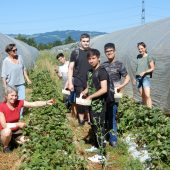 Auf Entdeckungstour in der Erdbeer-Plantage