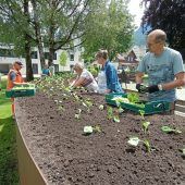 Gelungen gegärtnert in Umweltwoche