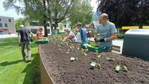 Viele fleißige Hände bepflanzten blitzschnell das Hochbeet im Gemeindepark, darunter ... He