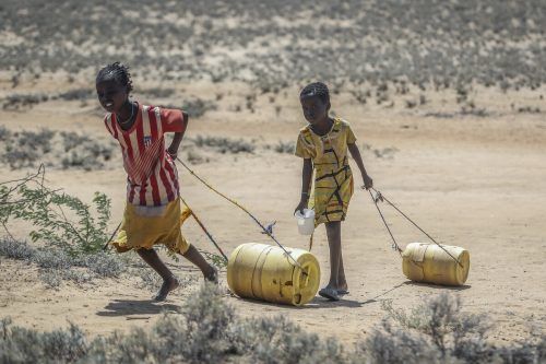 Viele Wasserquellen seien versiegt, hieß es in dem Bericht.  AP