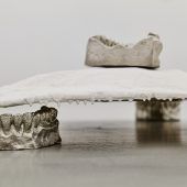 Nessie trägt Wälder Schindeln