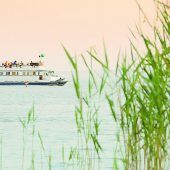 Wein-Erlebnisreise an den Neusiedlersee ab Altenrhein