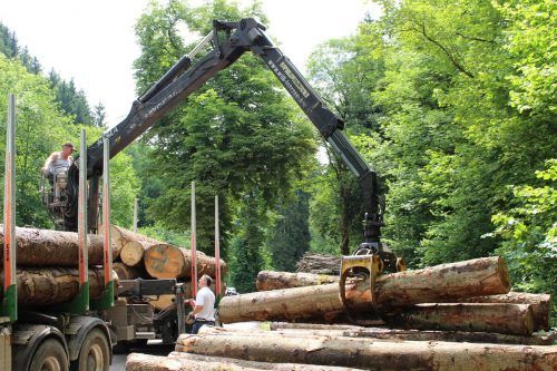 Waldbewirtschaftung und stärkere Holzverwendung als Klimaschutzmaßnahme.