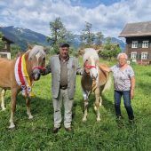 Mit Heu und Hafer zum Zuchterfolg