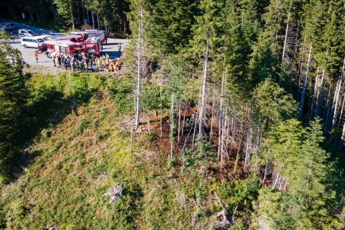 80 Feuerwehrmitglieder bekämpften den Waldbrand bei Dünserberg. Hofmeister