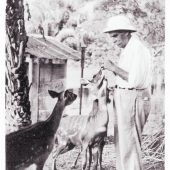 Gedanken zu Albert Schweitzer