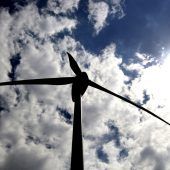 Ökonomen warnen vor Sondersteuer