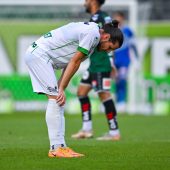 Ried und gern gesehene Gäste