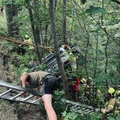 SUV landet im Wald