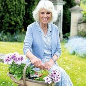 Kate setzt Stiefschwiegermutter Camilla in Szene