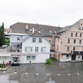 Neues Leben für den Harder „Löwen“