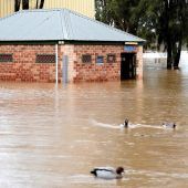 Evakuierungen wegen Überflutungen in Sydney