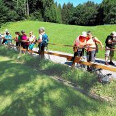 Eingesendet. Vereinsnachrichten aus dem Bezirk