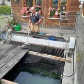 Schwarze Flecken auf dem Wasser