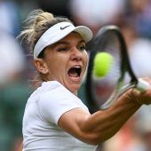 Halep in Titelform