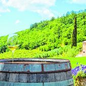 Malvasier für Weinliebhaber
