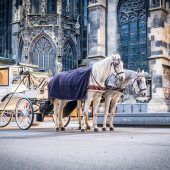 Mit der Kutsche durch die Innenstadt