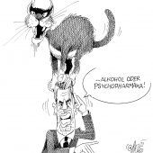 Mächtiger Kater!