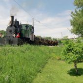 10+ 15 Uhr werkhof lustenau