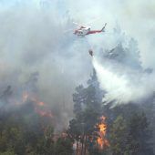 Waldbrand in Teneriffa bedroht Wohnung von Vorarlberger Modelmanager. »A8