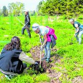 Ein Fest für die Waldstrategie 2030+