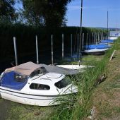 Sommerliche Ebbe am Bodensee