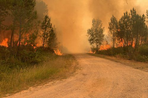 In Teste-de-Buch südlich der französischen Großstadt Bordeaux wurden am Mittwoch fünf Campingplätze wegen der Waldbrände sicherheitshalber geräumt. AP