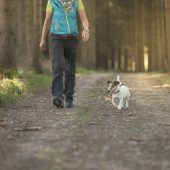 Neue Regelungen für Feldkirchs Hundehalter