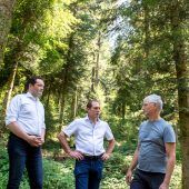 6,5 Millionen Euro für klimafitte Wälder