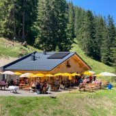 Wo das Liechtensteiner Vieh weidet