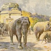 270 Jahre Schönbrunn