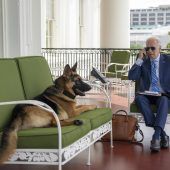 Bilder des Tages